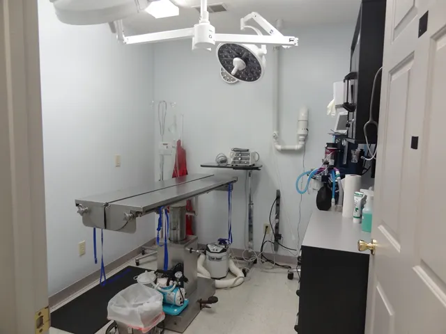 Access Veterinary Care 12