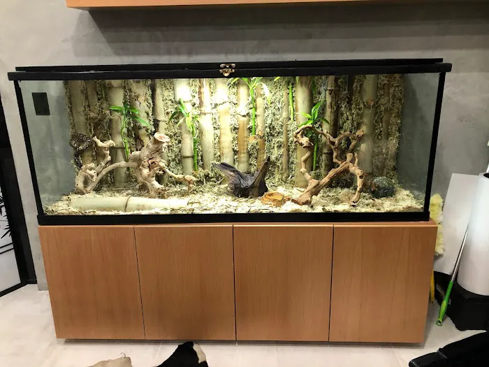 Alloys and Aquariums 8