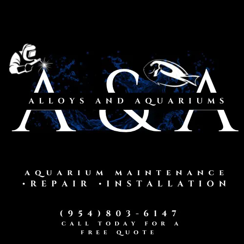 Alloys and Aquariums 3