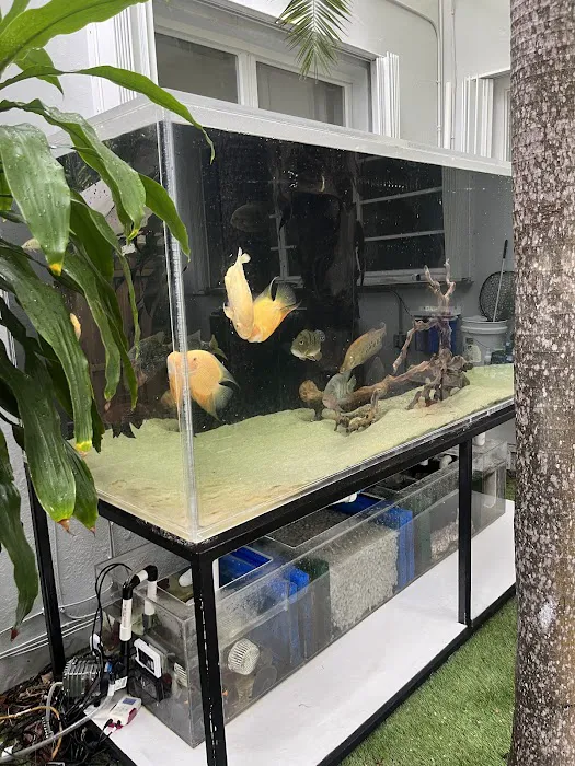 Alloys and Aquariums 5
