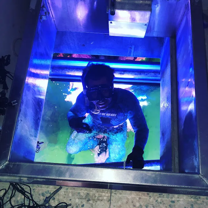 Alloys and Aquariums 6