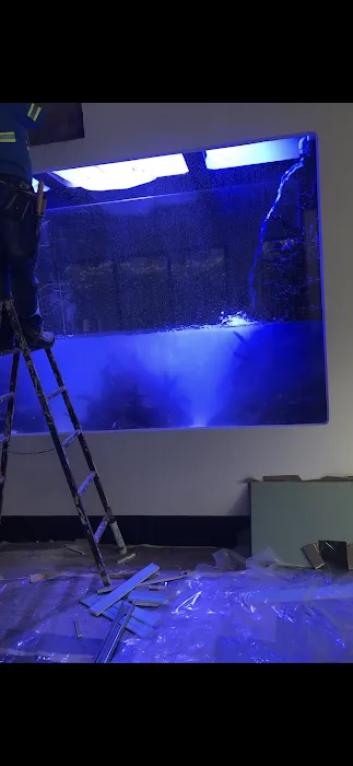 Alloys and Aquariums 9