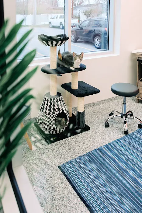 PetVet365 Pet Hospital Jeffersonville IN/North Louisville 12