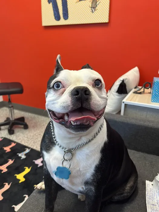 PetVet365 Pet Hospital Jeffersonville IN/North Louisville 12