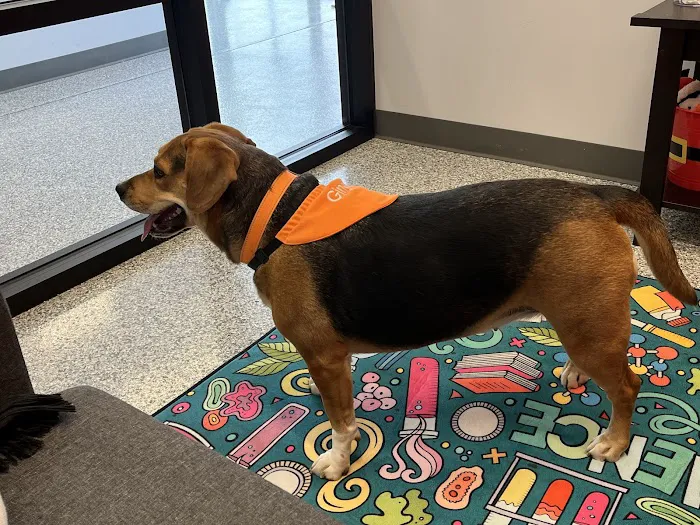 PetVet365 Pet Hospital Jeffersonville IN/North Louisville 12