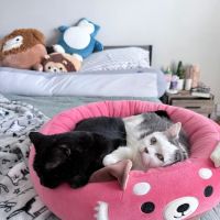 Vetco Total Care Animal Hospital ico
