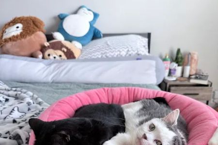 Vetco Total Care Animal Hospital