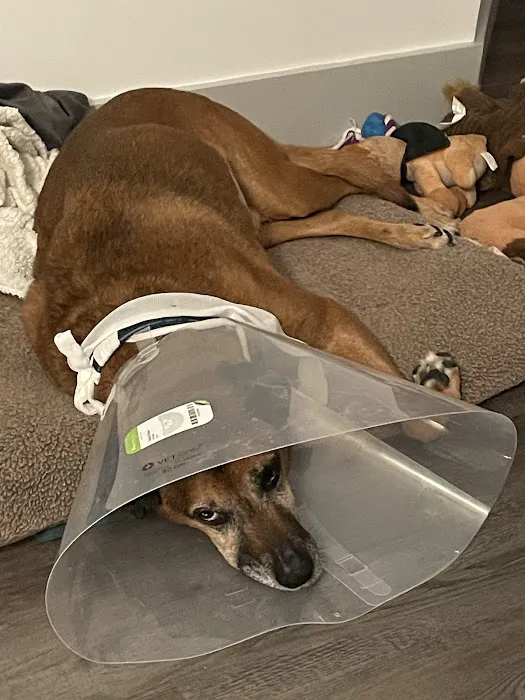 Vetco Total Care Animal Hospital 6