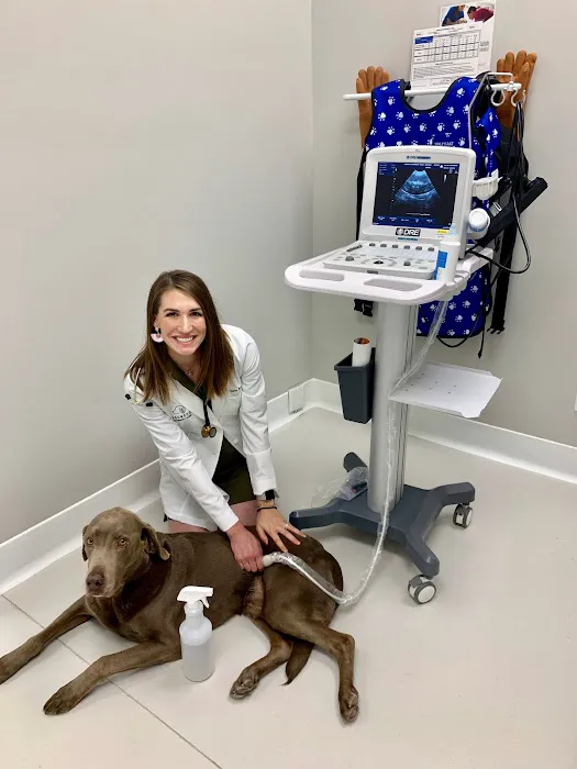 Dogwood Veterinary Clinic 12