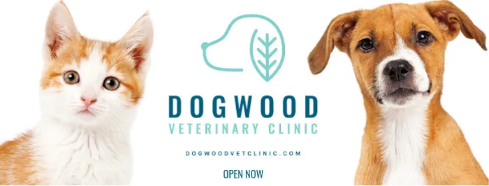 Dogwood Veterinary Clinic 12