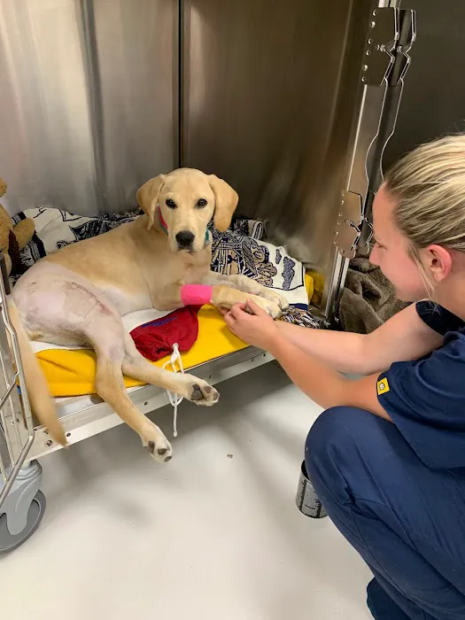 Dogwood Veterinary Clinic 12