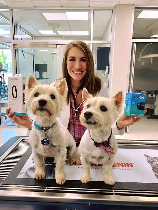 Dogwood Veterinary Clinic 12