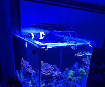 247 Aquariums
