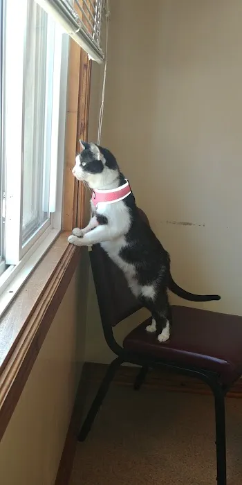 Especially Pets 12