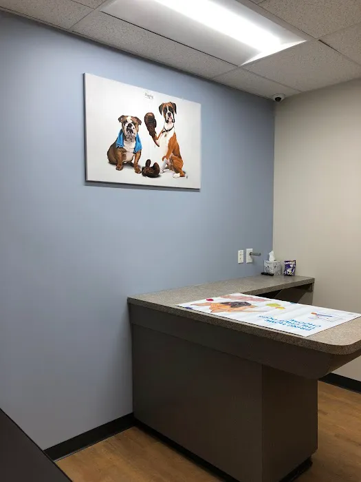 Monroe Family Pet Hospital 12