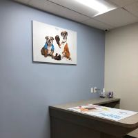 Monroe Family Pet Hospital ico