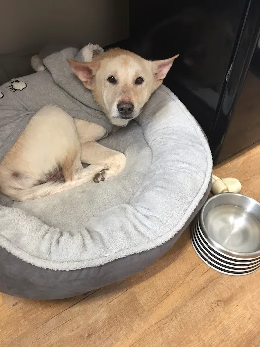 Monroe Family Pet Hospital 12