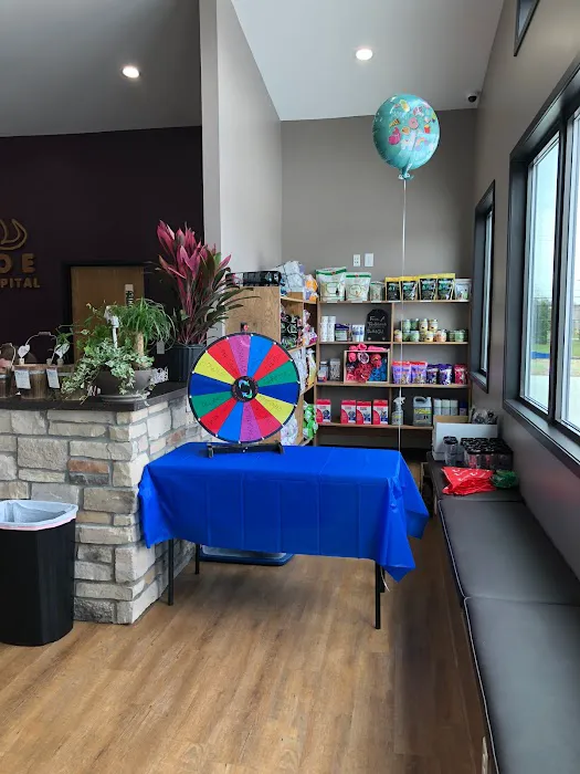 Monroe Family Pet Hospital 12