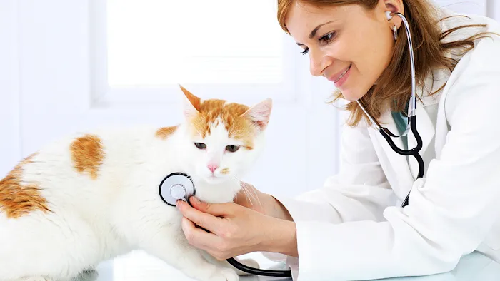 Monroe Family Pet Hospital 12