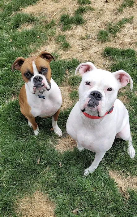 TLC Pet Care Centers 3