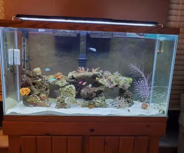 Living Reef Aquariums
