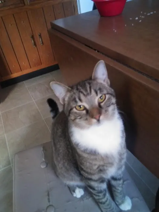 Turtle Creek Animal Hospital 12