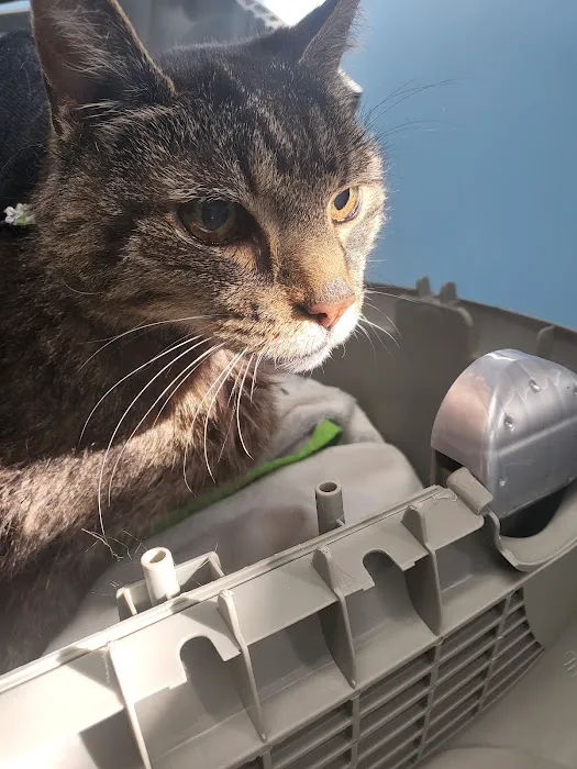 Turtle Creek Animal Hospital 12