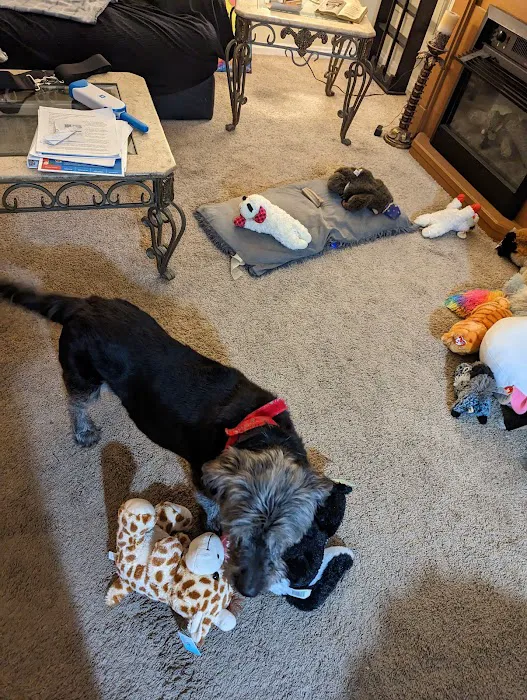 Banfield Pet Hospital 12