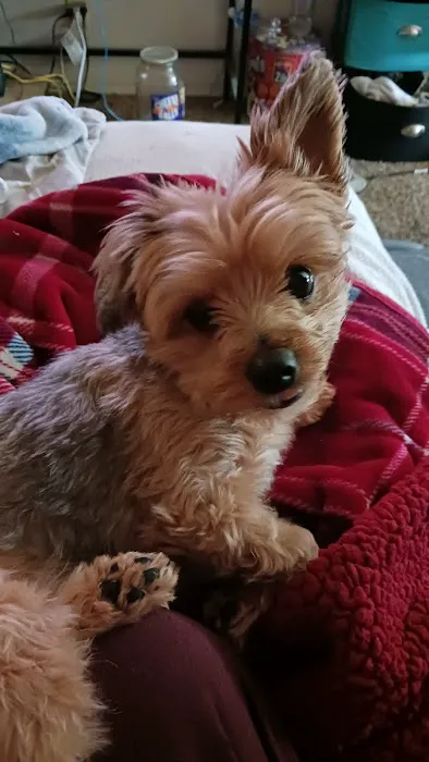 Banfield Pet Hospital 12