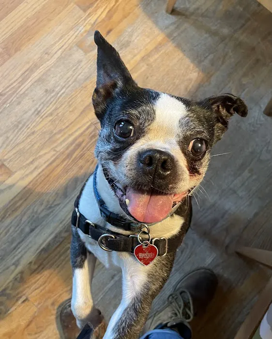 Banfield Pet Hospital 12