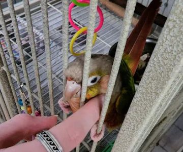 Exotic Pet Center