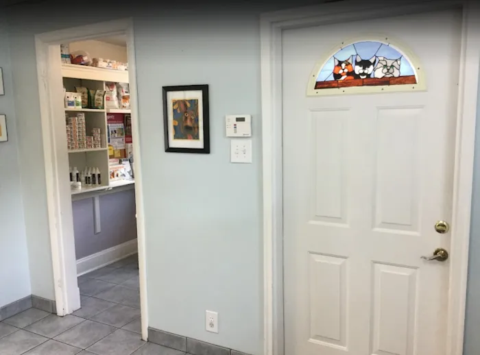 Carey Animal Hospital 9