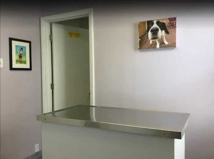 Carey Animal Hospital 8