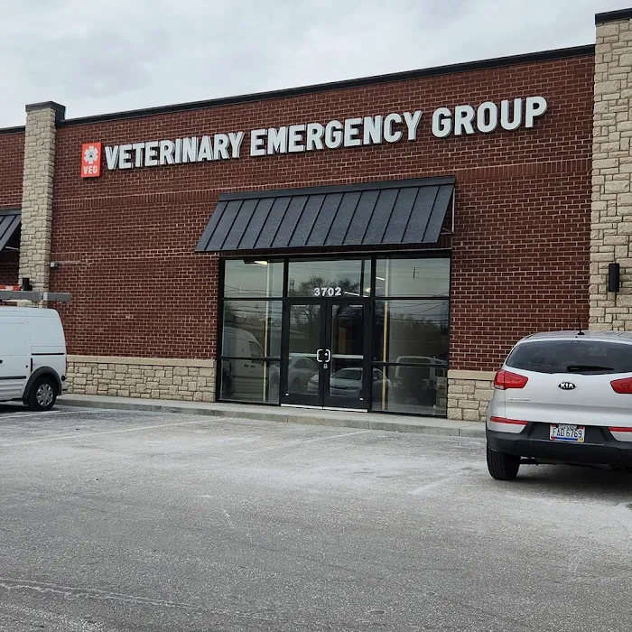 Veterinary Emergency Group 12