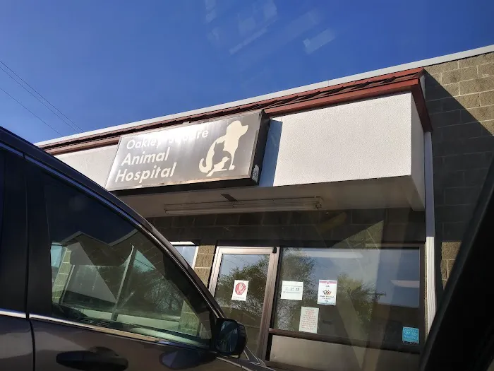 Oakley Square Animal Hospital 12