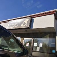 Oakley Square Animal Hospital ico