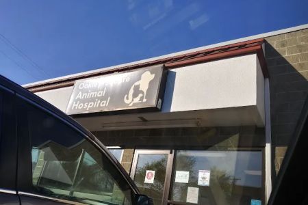 Oakley Square Animal Hospital