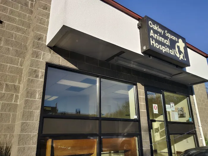 Oakley Square Animal Hospital 12