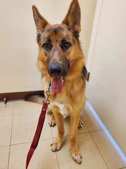 Oakley Square Animal Hospital 12
