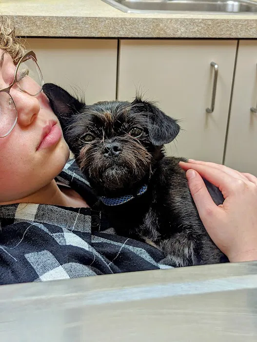 Noah's Ark Animal Clinic of Colerain 12
