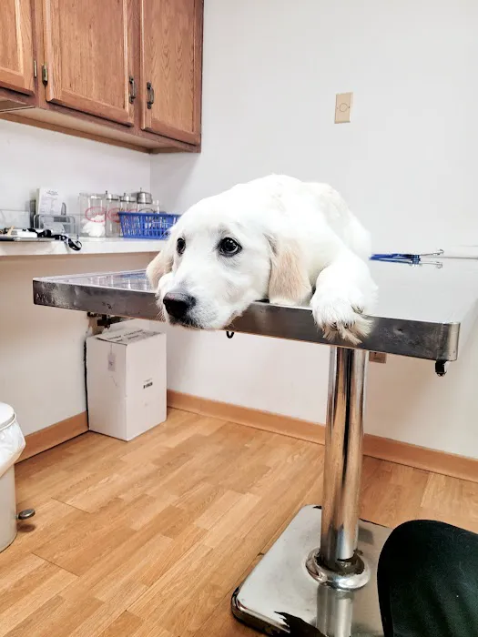 Mt Healthy Animal Hospital 12