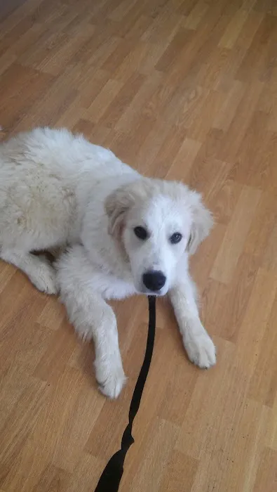 Mt Healthy Animal Hospital 12