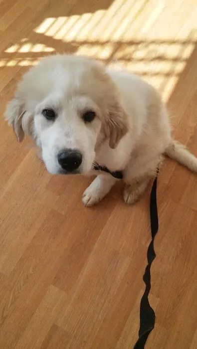 Mt Healthy Animal Hospital 12