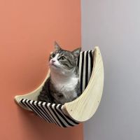 PetVet365 Pet Hospital Cincinnati / Colerain ico