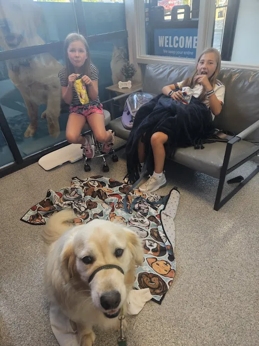 PetVet365 Pet Hospital Cincinnati / Colerain 12