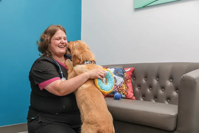 PetVet365 Pet Hospital Cincinnati / Colerain 12