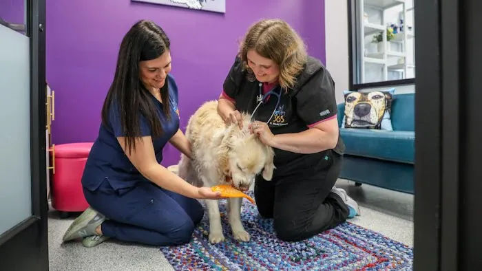 PetVet365 Pet Hospital Cincinnati / Colerain 12