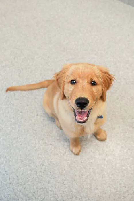 PetVet365 Pet Hospital Cincinnati / Colerain 12