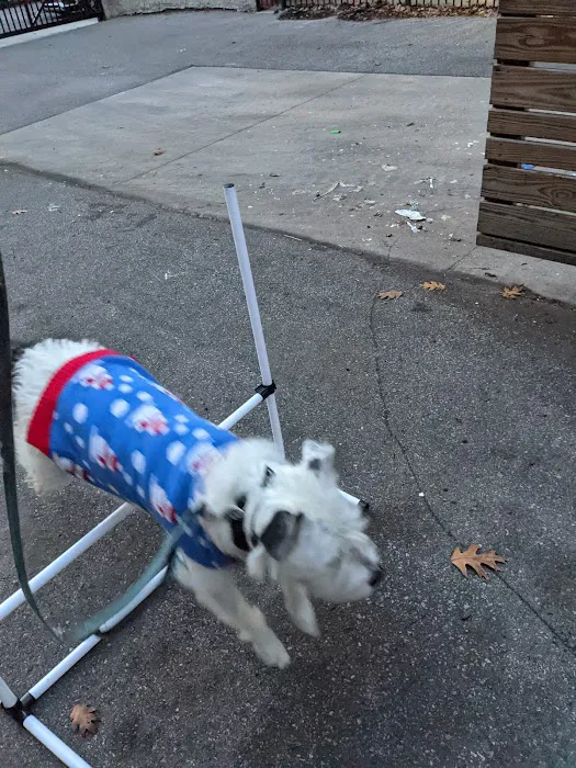 Howell Avenue Pet Hospital 12