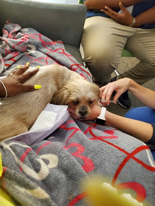 UCAN Nonprofit Pet Care Clinic 12